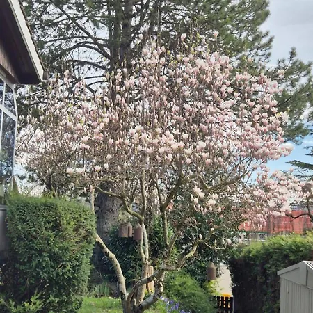 Villa Renovated With Hottub La Neuveville