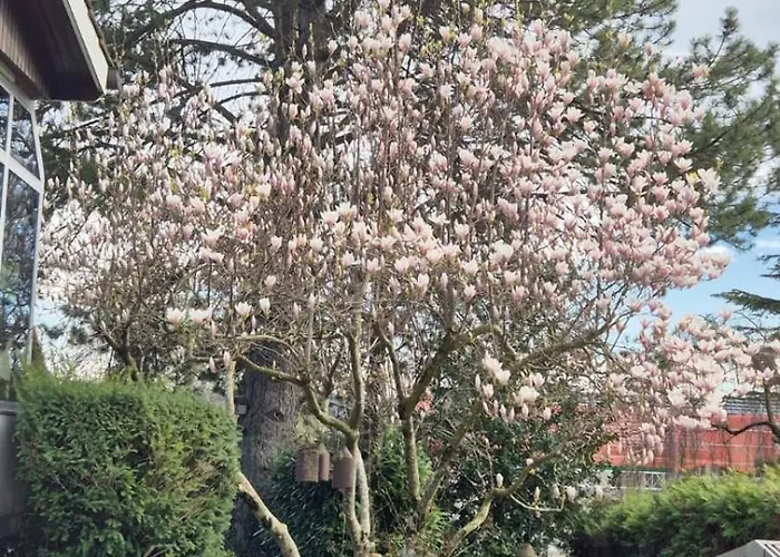 Villa Renovated With Hottub La Neuveville